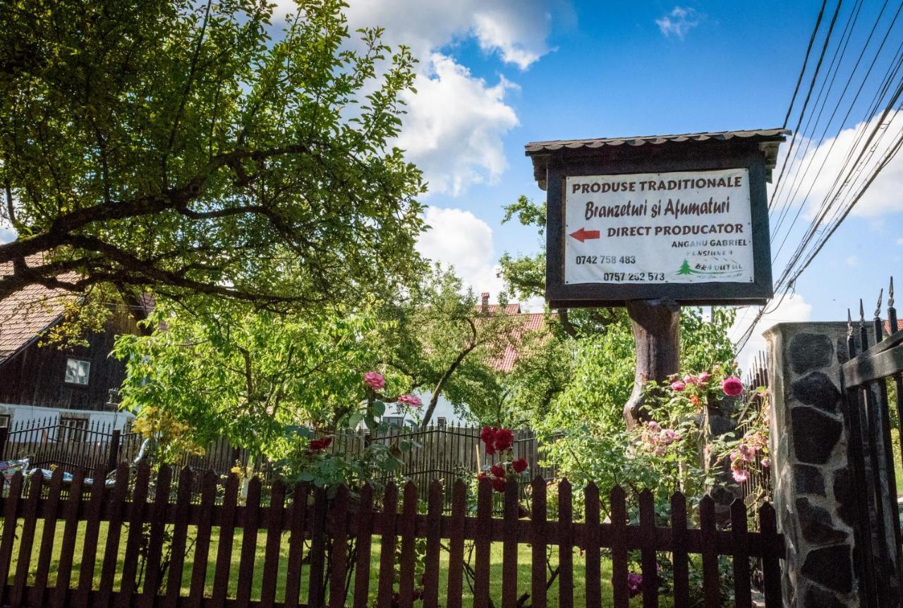 Bradutul De La Munte Villa Bran  Eksteriør bilde